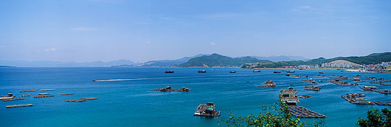 双人床上打扑克又疼又叫：床战扑克意外：疼痛与反思-1