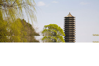 少妇性l交XXXXX仙踪林：仙侠世界新体验，少妇冒险奇遇记