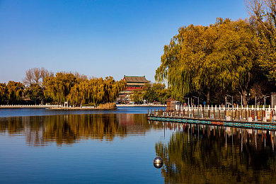 一区二区黄：核心区域崛起，房价涨势惊人！-2