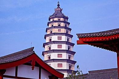 一级a爱：社交新宠：神秘“一级a爱”引领潮流