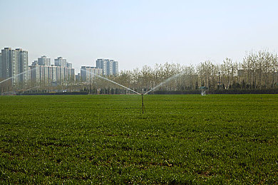 女澡堂各样年轻女胴体大众洗澡：都市角落，女性专属的宁静空间-3
