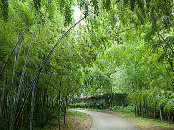 黑人av：穿越非洲，探索神秘，游戏新篇章-2