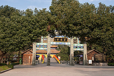 把校花 吊起来打屁股：大学校花被罚引热议，教育方式引争议