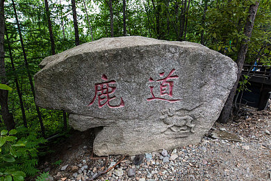 艳女直播间：直播圈新宠：艳女直播间魅力绽放-1