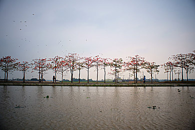 天天干活天天操：城市建设者李明：汗水浇灌希望，拼搏筑梦未来-3
