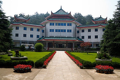 K丅v小伙和服务生囗交：餐厅囗交事件引反思，青少年价值观待重塑-2
