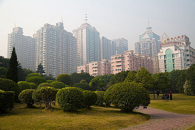 色情 网站：网络毒瘤揭秘，行动净化家园-5