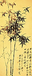 XXXX啪啪阿娇：明星亲密互动引关注，公益传递爱心-2