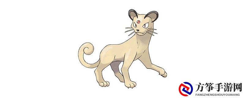 猫老大配招