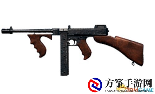 战术攻略：全面解读汤姆逊，实战技巧解析